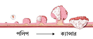 BD Endoscopy Center 